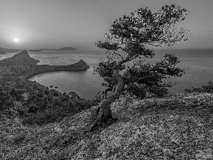 Great Sunsets, Mountains, pine, rocks, sea, trees, Bush