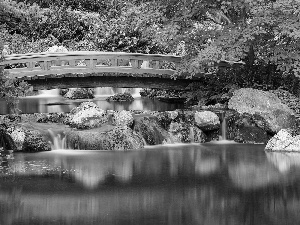 rocks, Park, trees, bridge, River, Bush, viewes