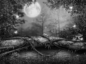 viewes, fantasy, butterflies, moon, toadstools, trees