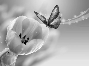 butterfly, Yellow, Tulips