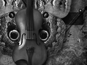 violin, butterfly