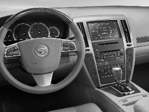 Cadillac STS, driver