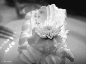 Margaretka, cream, Cake, whipped