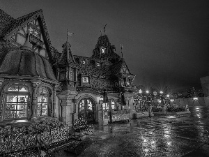 house, Disneyland, California, Night