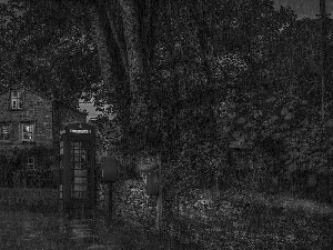 call box, Street, viewes, red hot, house, trees, Rain