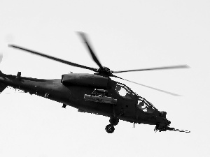 Agusta A129 Mangusta, cannon