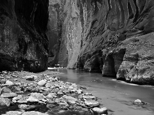 canyon, Virgin River, Utah State, Zion National Park, The United States