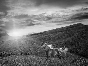 west, car in the meadow, Horse, sun