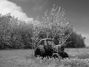 trees, winter, Old car, agrimotor, viewes, frosty
