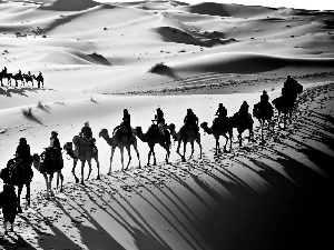 caravan, Camels, Desert