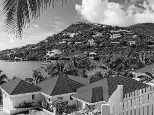 Houses, Palms, Caribbean, sea