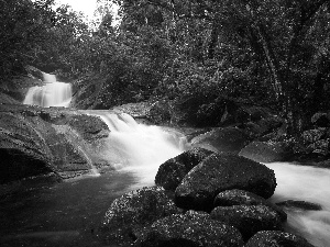 cascade, Stones, tear, River, forest