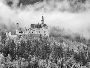 Neuschwanstein, Bavaria, Fog, Castle, Germany, woods, autumn