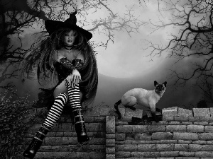 halloween, witch, cat, Women