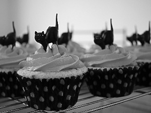 Muffins, Black, cats, Halloween