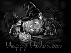cats, halloween, pumpkin