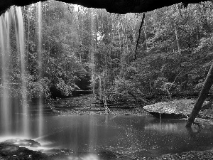 cave, forest, waterfall