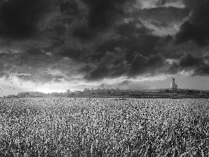 west, clouds, cereals, sun