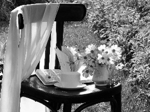 Chair, Garden, Cosmos, Book, Flowers
