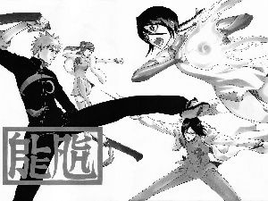 Characters, bleach, Fight