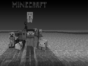 Minecraft, Characters