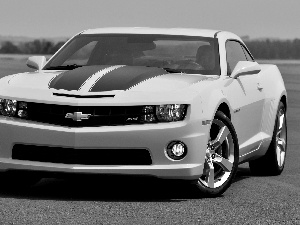 Chevrolet Camaro, Gray