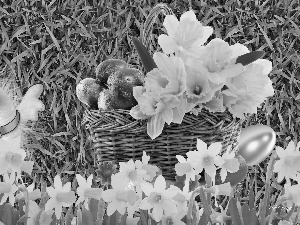 eggs, Easter, chicken, Daffodils, basket, color