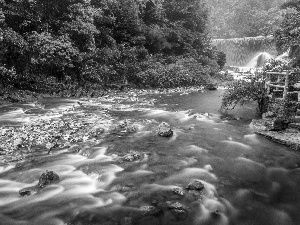 forest, River, China, waterfall