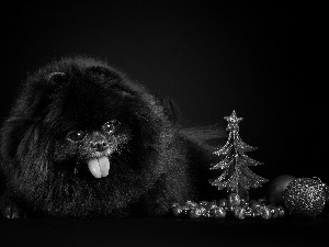 christmas tree, baubles, doggy, Tounge, Black
