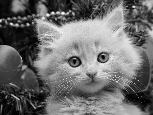 baubles, cat, christmas tree