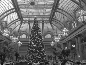 christmas tree, Restaurant