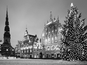 evening, Latvia, God, Town, Ryga, christmas tree, birth