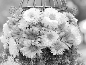 chrysanthemum, bouquet, flowers