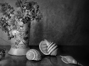 Flowers, Vase, Shells, Chrysanthemums