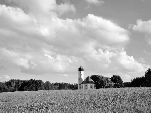 clouds, Field, Church, forest