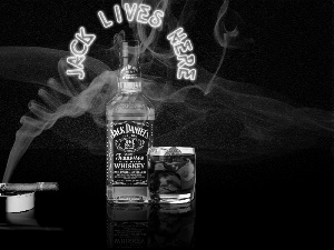 cigar, Jack, Daniels