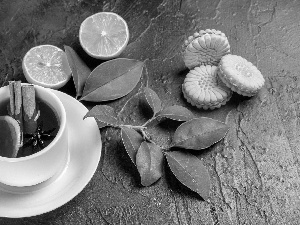 Lemon, cup, Cookies, cinnamon, tea, Leaf, composition