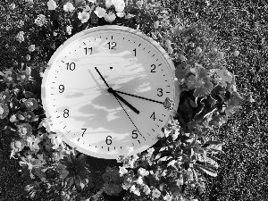 Lawn, Flowers, Clock, flowerbed