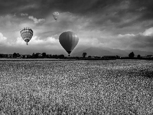 Balloons, corn, clouds, Field