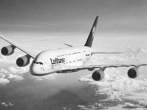 plane, clouds