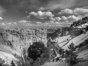 canyon, Spruces, clouds, snow