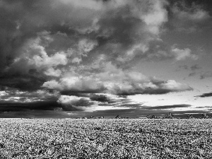 clouds, Field, corn