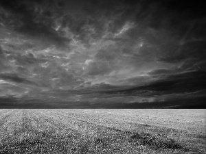 Field, clouds