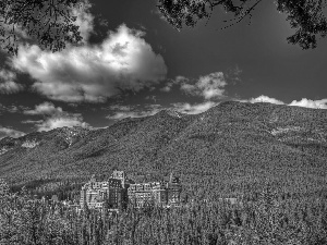 forest, Hotel hall, clouds, Mountains