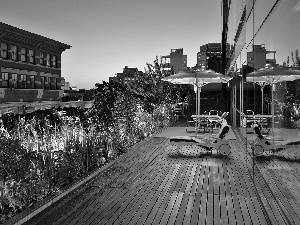 clouds, Manhattan, Garden, On Roof, terrace, skyscrapers