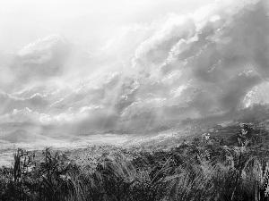 clouds, Meadow, grass