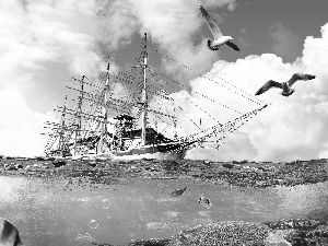 fish, water, clouds, gulls, Sky, Ship