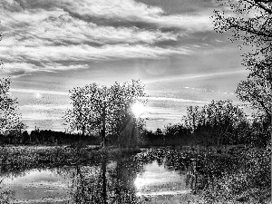 trees, viewes, lake, clouds, rays of the Sun