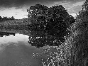 lake, viewes, clouds, trees