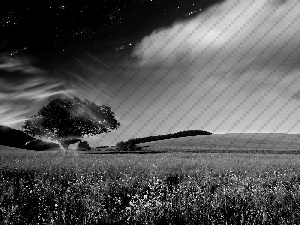 Meadow, Sky, clouds, trees